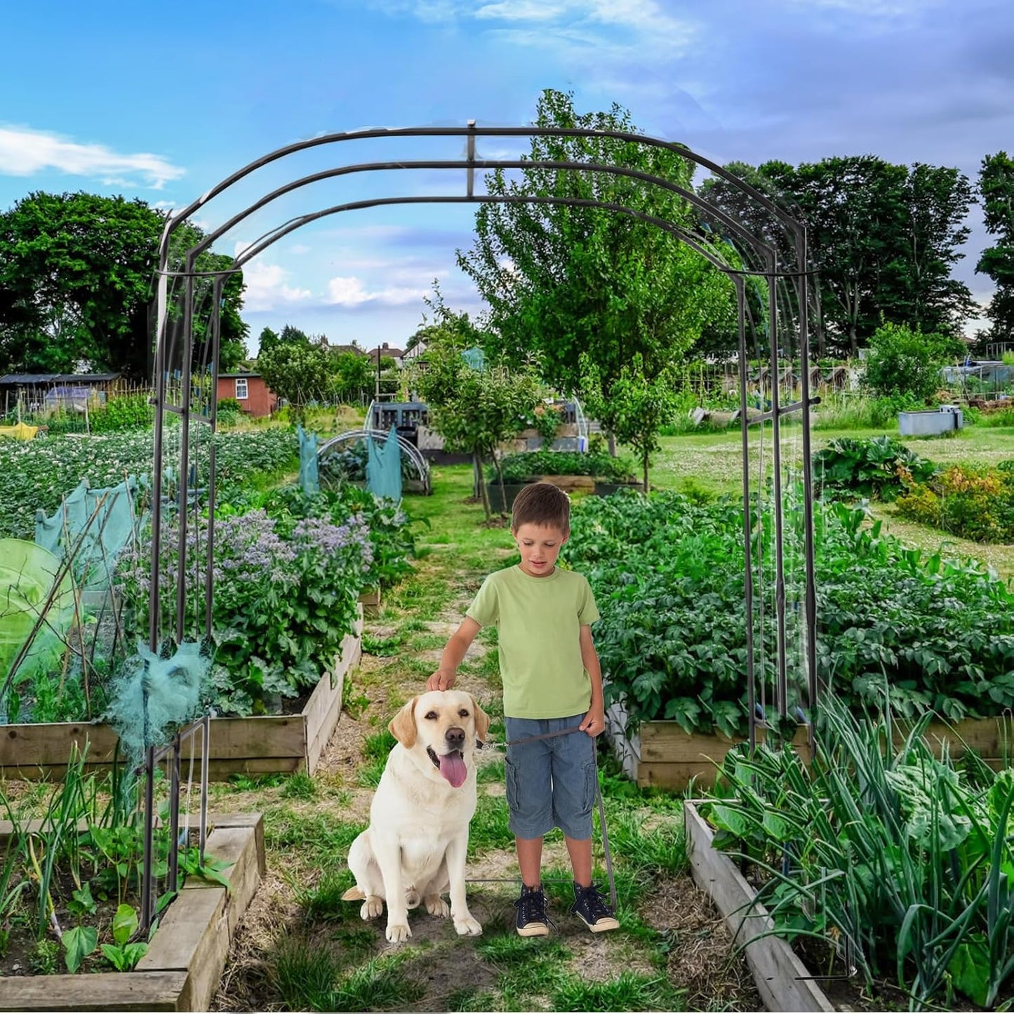 DoCred: Garden Arch Trellis – 87" Adjustable Metal Garden Cover, Green