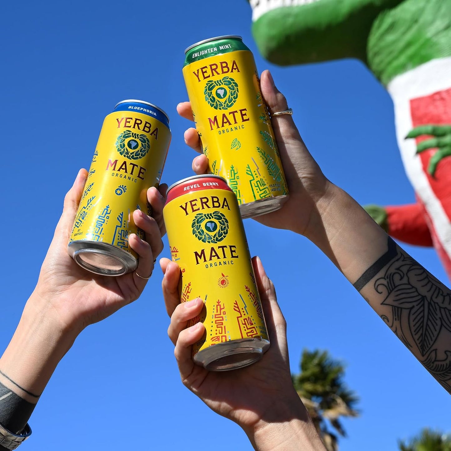 Guayakí Yerba Mate: Organic Energy Drink Alternative, Variety Pack, 12 pack Cans