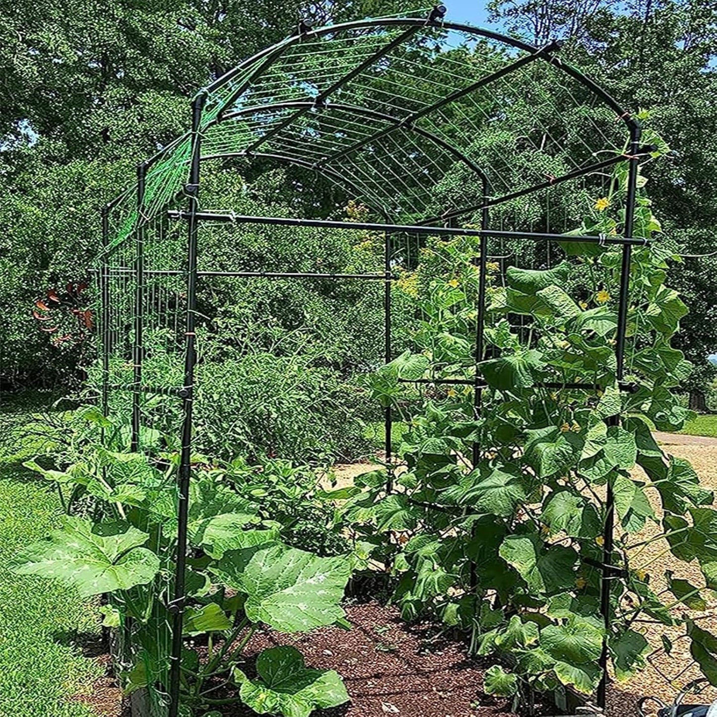 DoCred: Garden Arch Trellis – 87" Adjustable Metal Garden Cover, Green