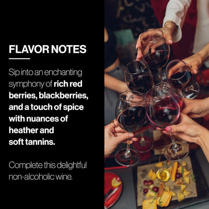Wine: Oddbird GSM, Non-alcoholic Red Wine, 1 Bottle