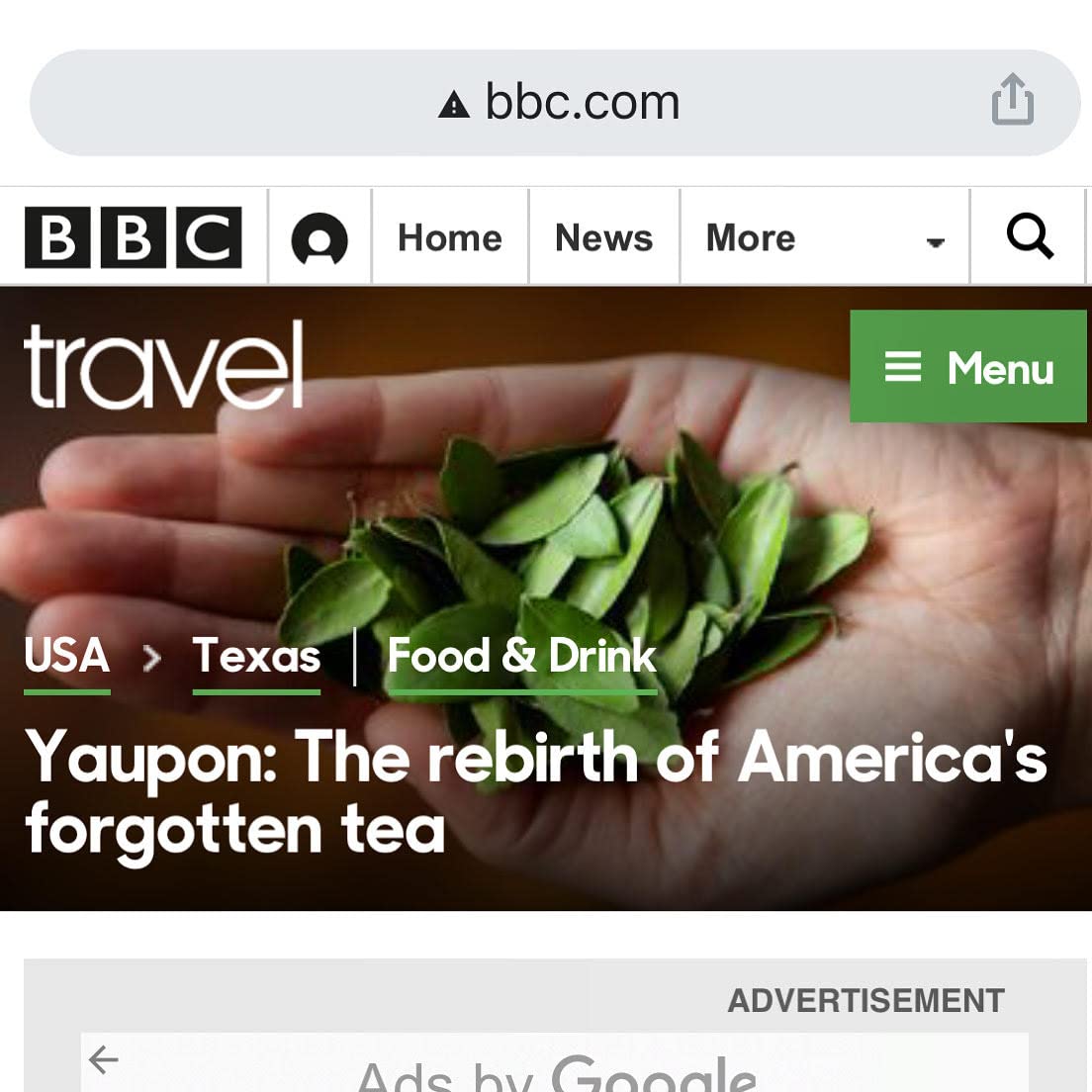 Lost Pines Yaupon Tea: Dark Roast, 50 Tea Bags