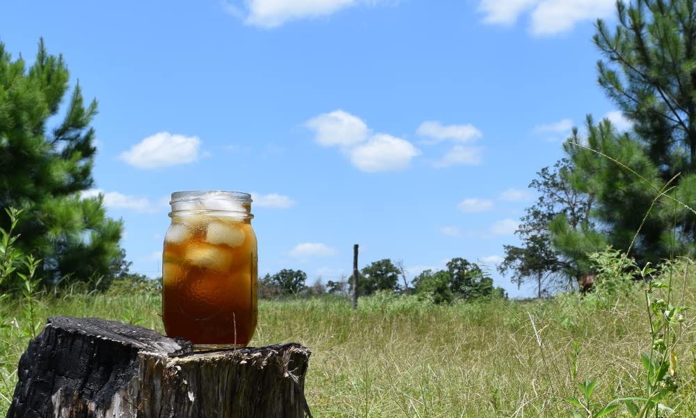 Lost Pines Yaupon Tea: Dark Roast, 50 Tea Bags