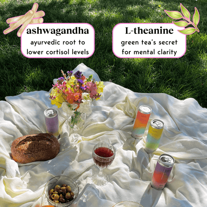 Moment: Adaptogen Lychee Mint Sparkling Drink, 11.5 Oz., 12 Pack