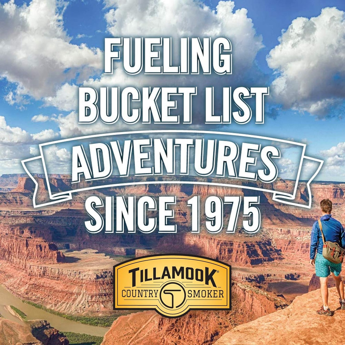 Tillamook Country Smoker: Real Hardwood Smoked Sausages, Original Beef, 20 Pack
